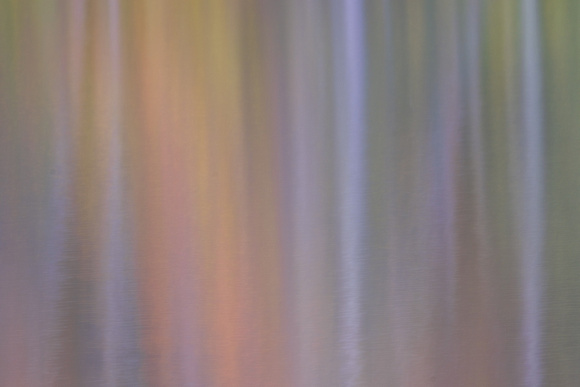 Intentional Camera Movement