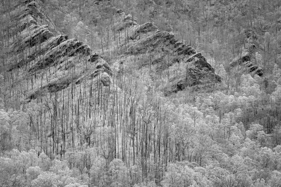 Views along Newfound Gap Road